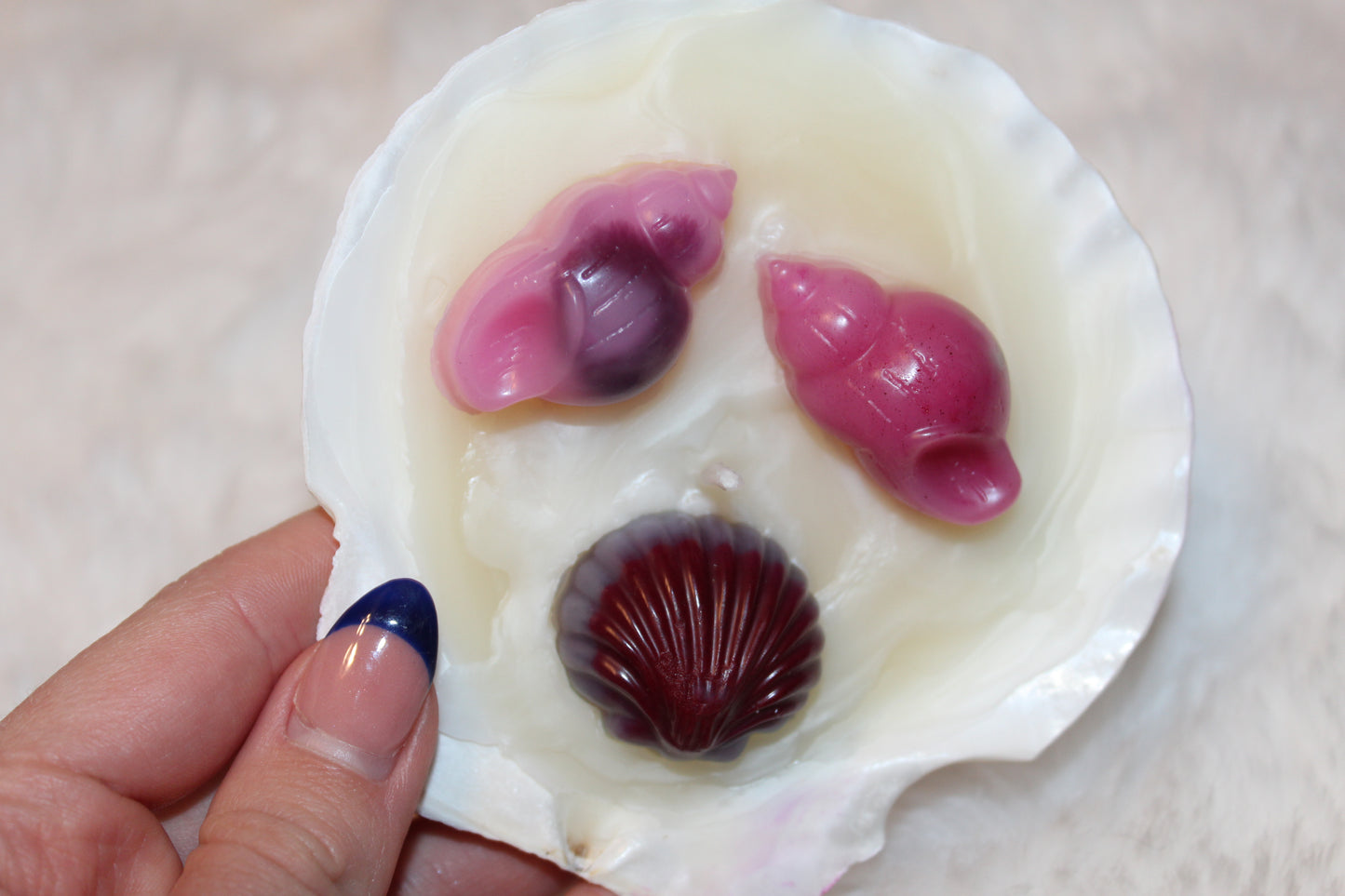 scallop shell candle
