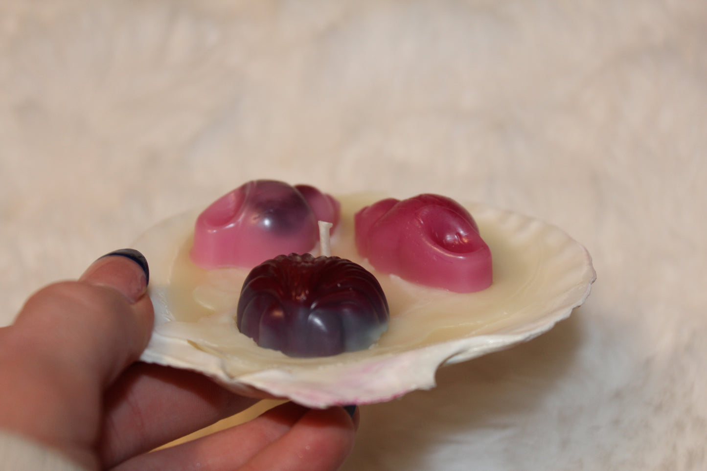 scallop shell candle