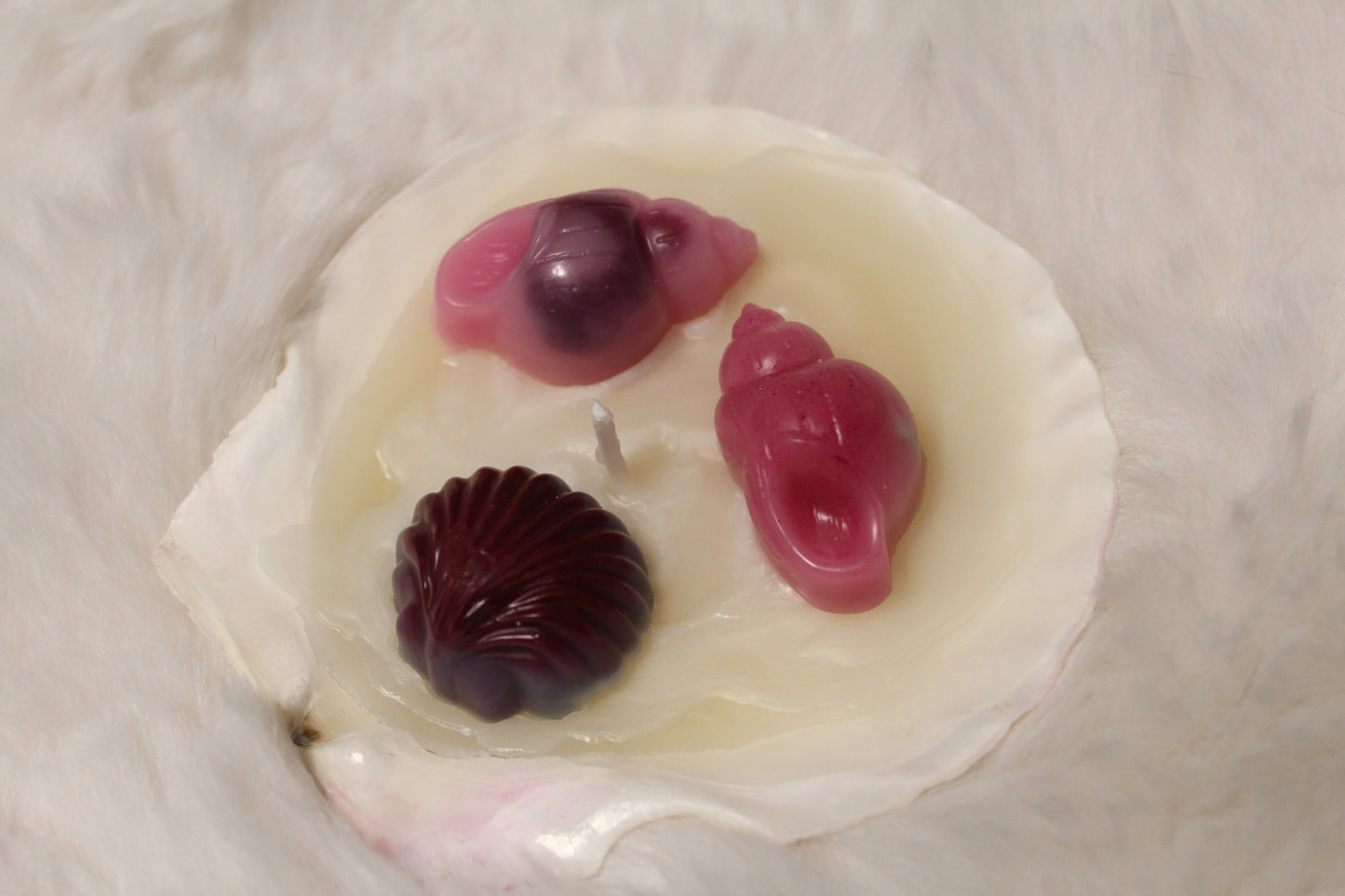 scallop shell candle
