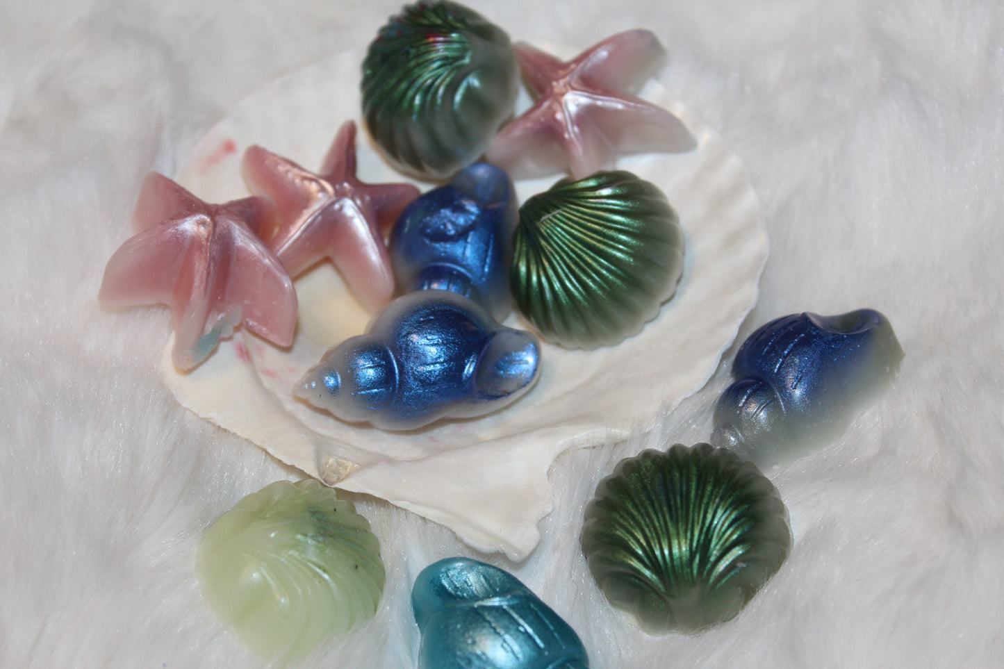 shimmery shell melters