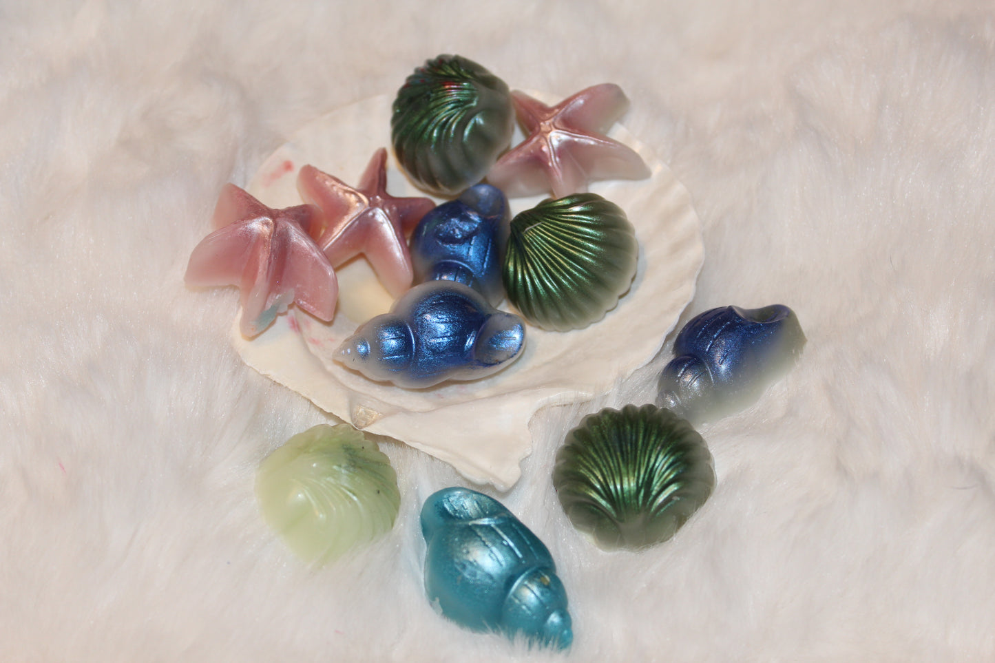 shimmery shell melters