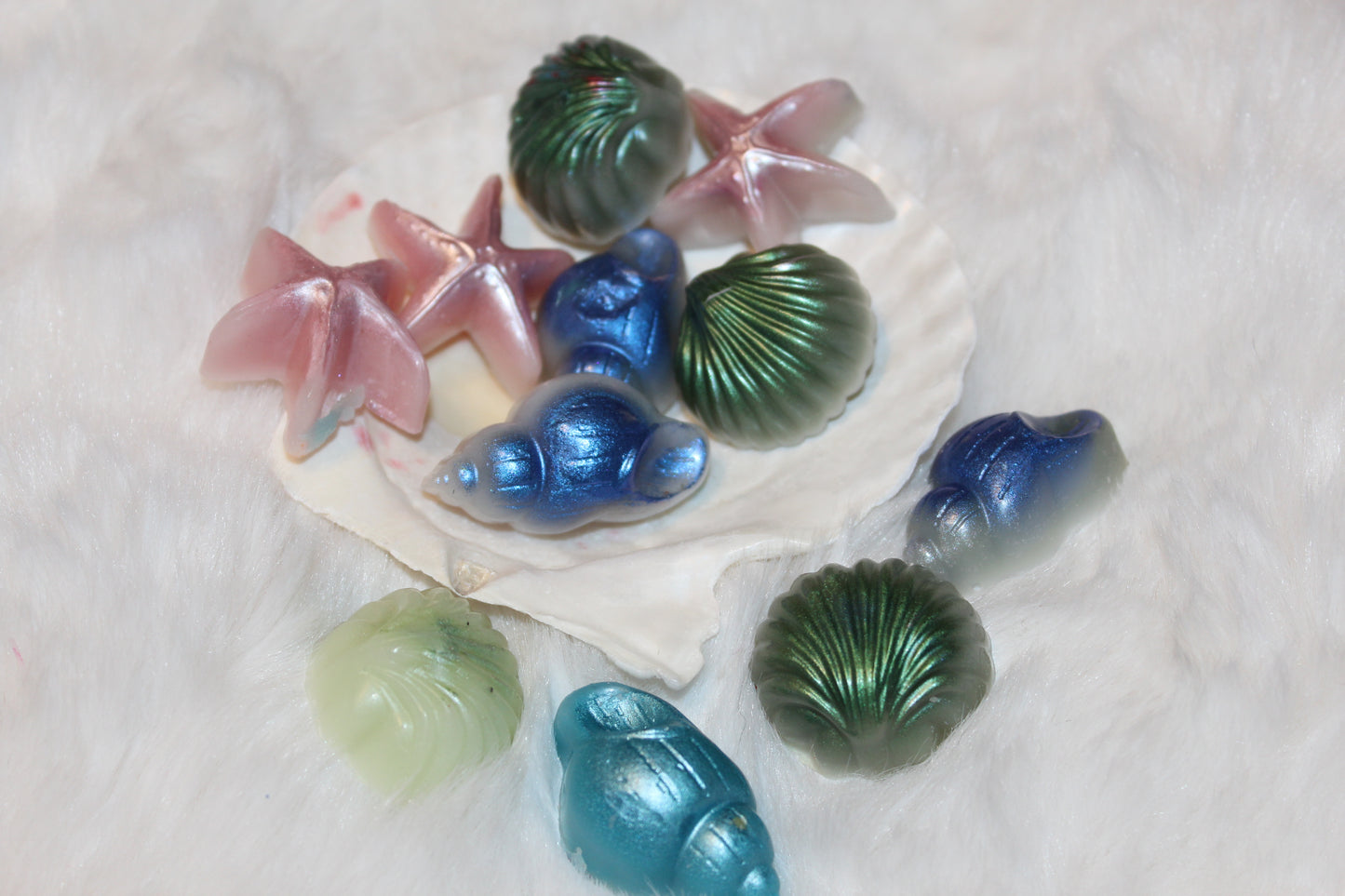 shimmery shell melters