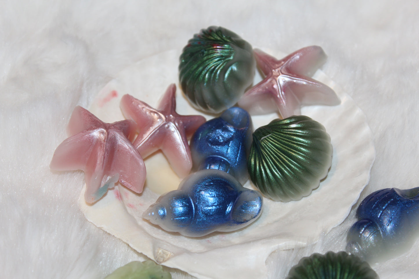 shimmery shell melters