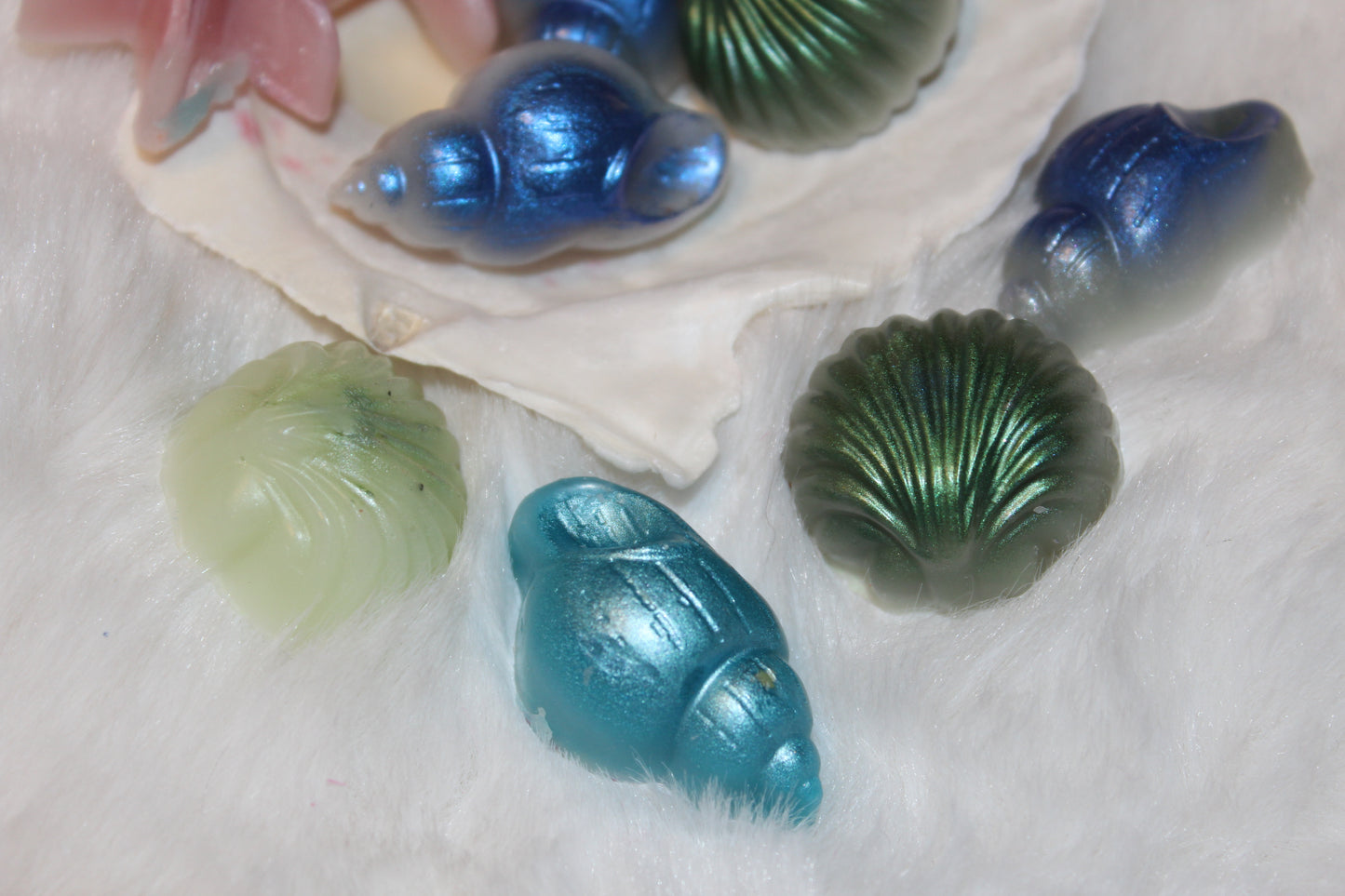 shimmery shell melters