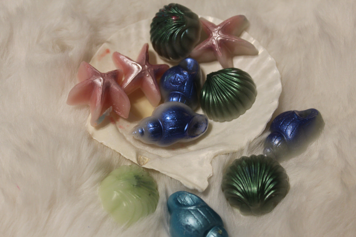 shimmery shell melters
