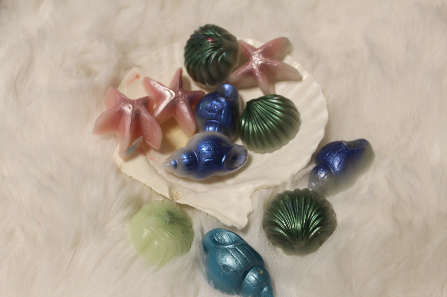shimmery shell melters