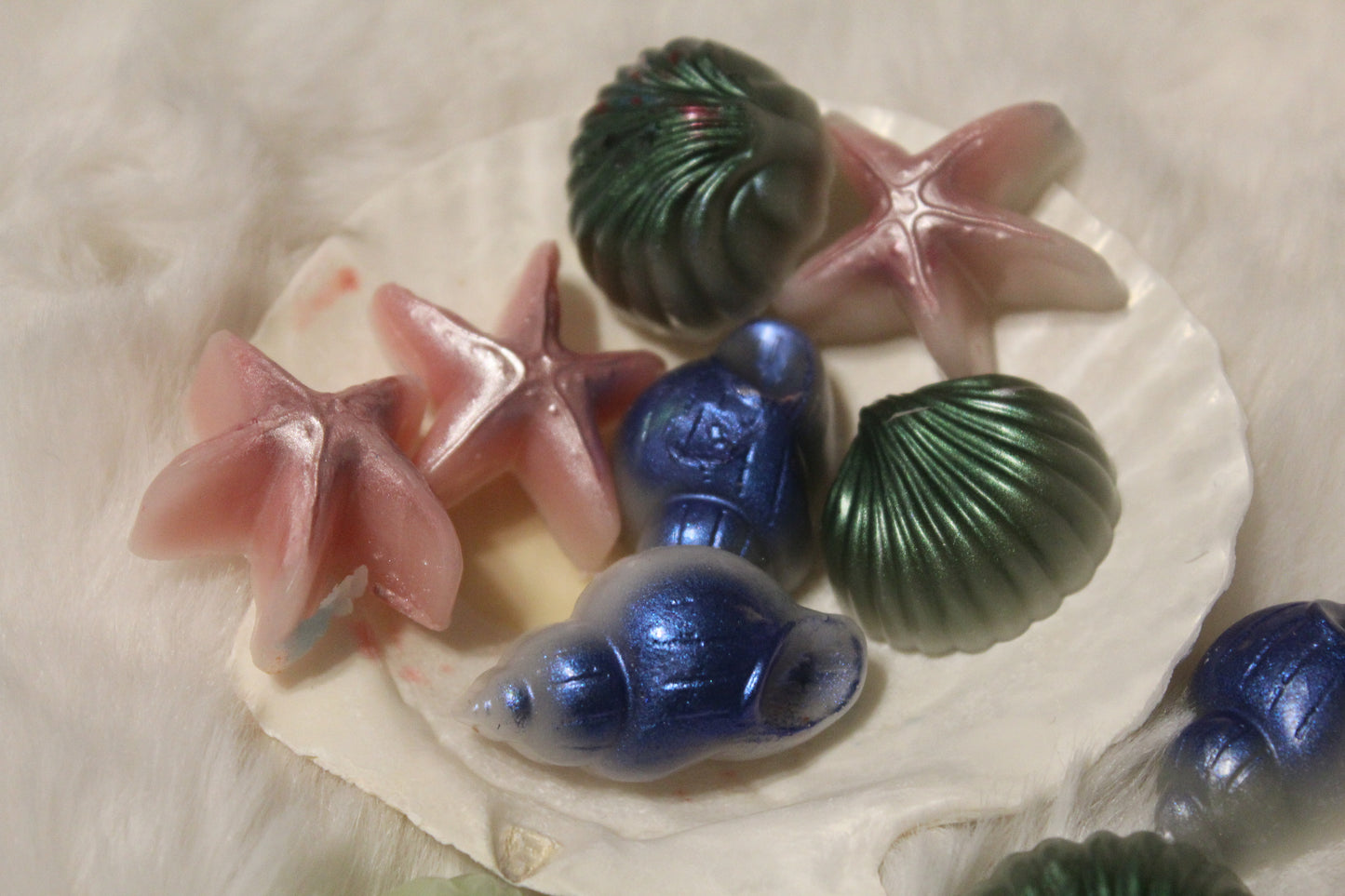 shimmery shell melters