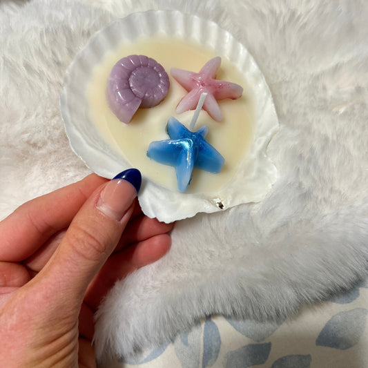 scallop shell candle