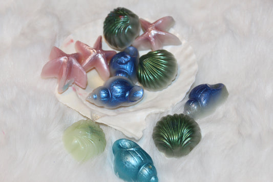 shimmery shell melters