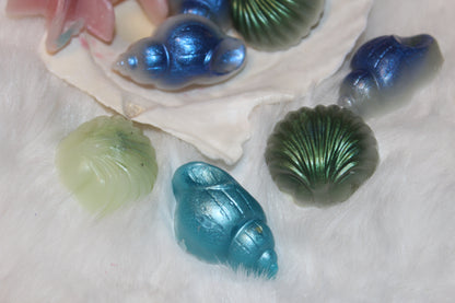 shimmery shell melters