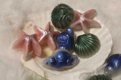 shimmery shell melters